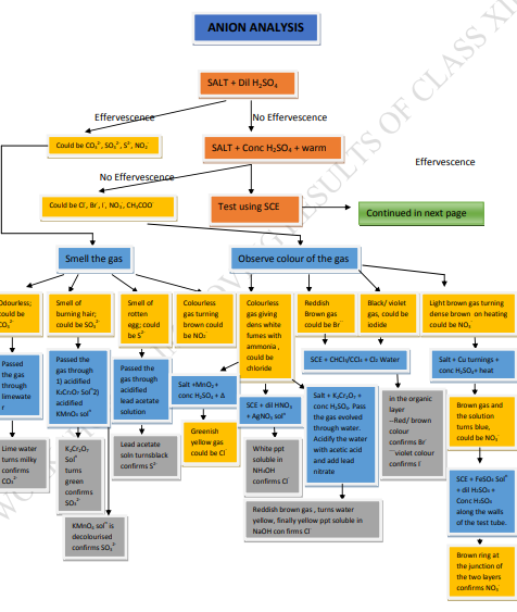 Surface Chemistry Class 12 Mind Map   CBSE Class 12 Chemistry Haloalkanes Haloarenes 3 0.PNG